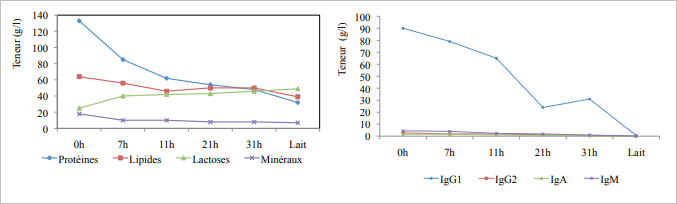 Fig1.Evolution de la composition chimique et de la teneur en immunoglobulines du colostrum et du lait de vache en fonction du temps (d’après Elfstrand,2002)